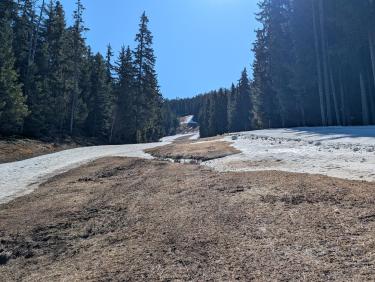 PXL_20260421_083232027.RAW-01