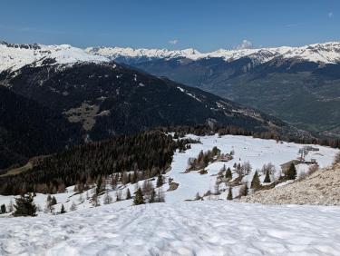 PXL_20260421_095703714.RAW-01