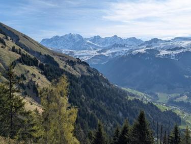 PXL_20260426_073148939.RAW-01