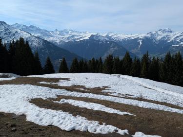 PXL_20260426_074751073.RAW-01