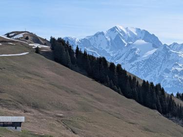 PXL_20260426_075027895.RAW-01