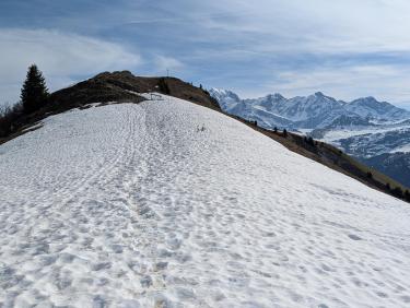 PXL_20260426_080719082.RAW-01