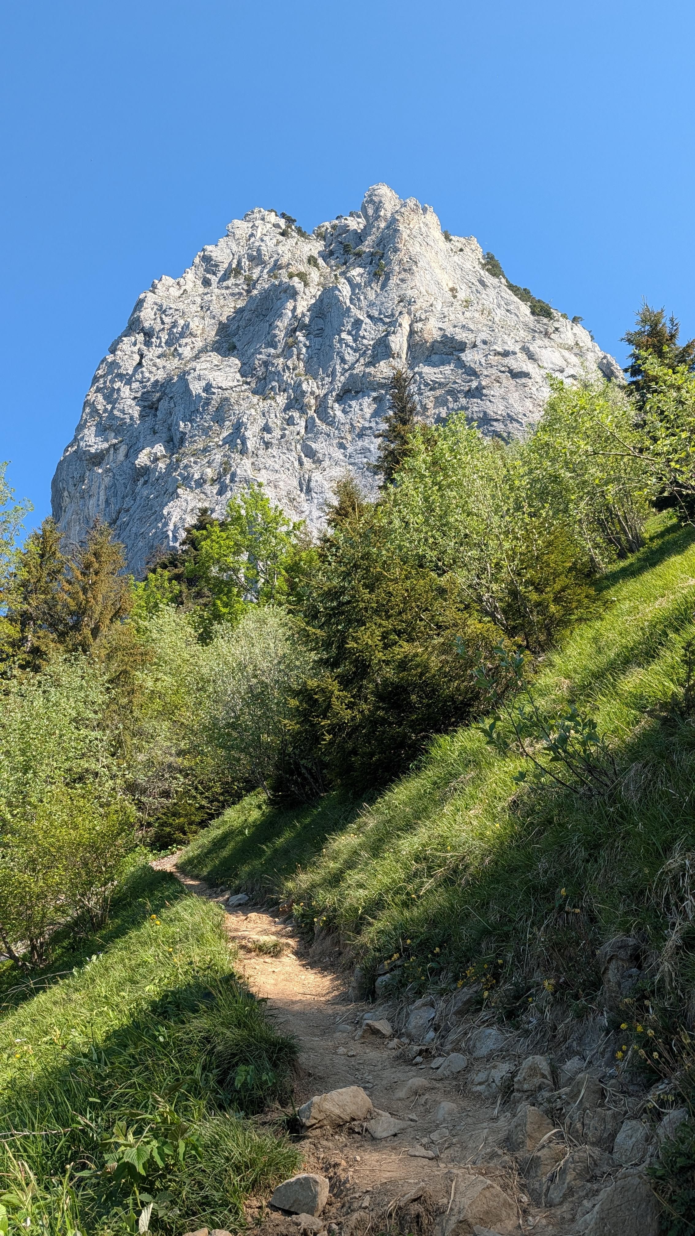 PXL_20260525_074738221.RAW-01