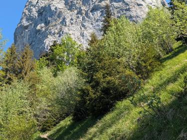 PXL_20260525_074738221.RAW-01