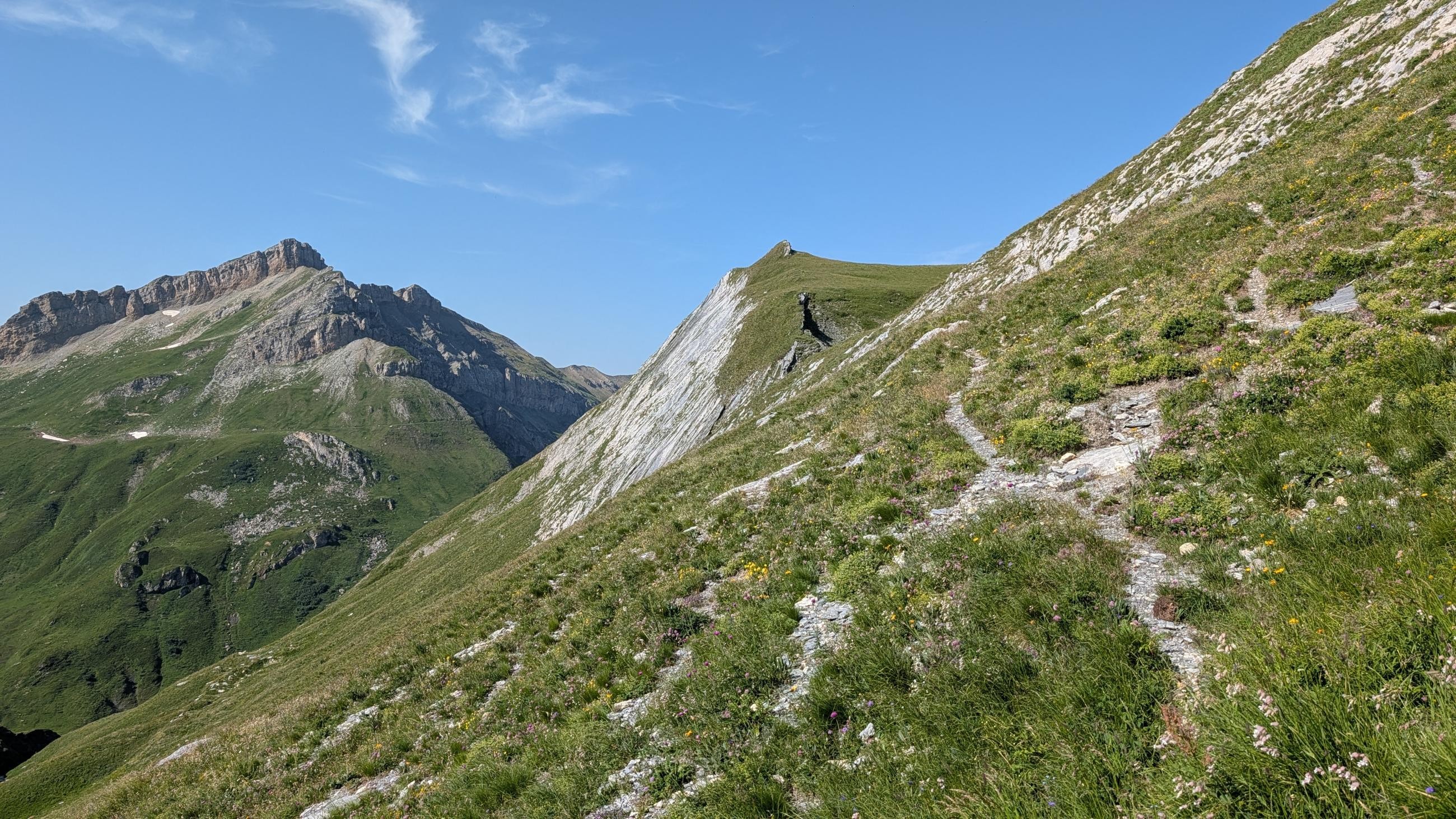 PXL_20260714_075212346.RAW-01