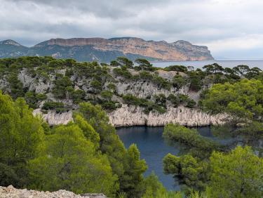 Calanque d'En Vau Depuis Cassis