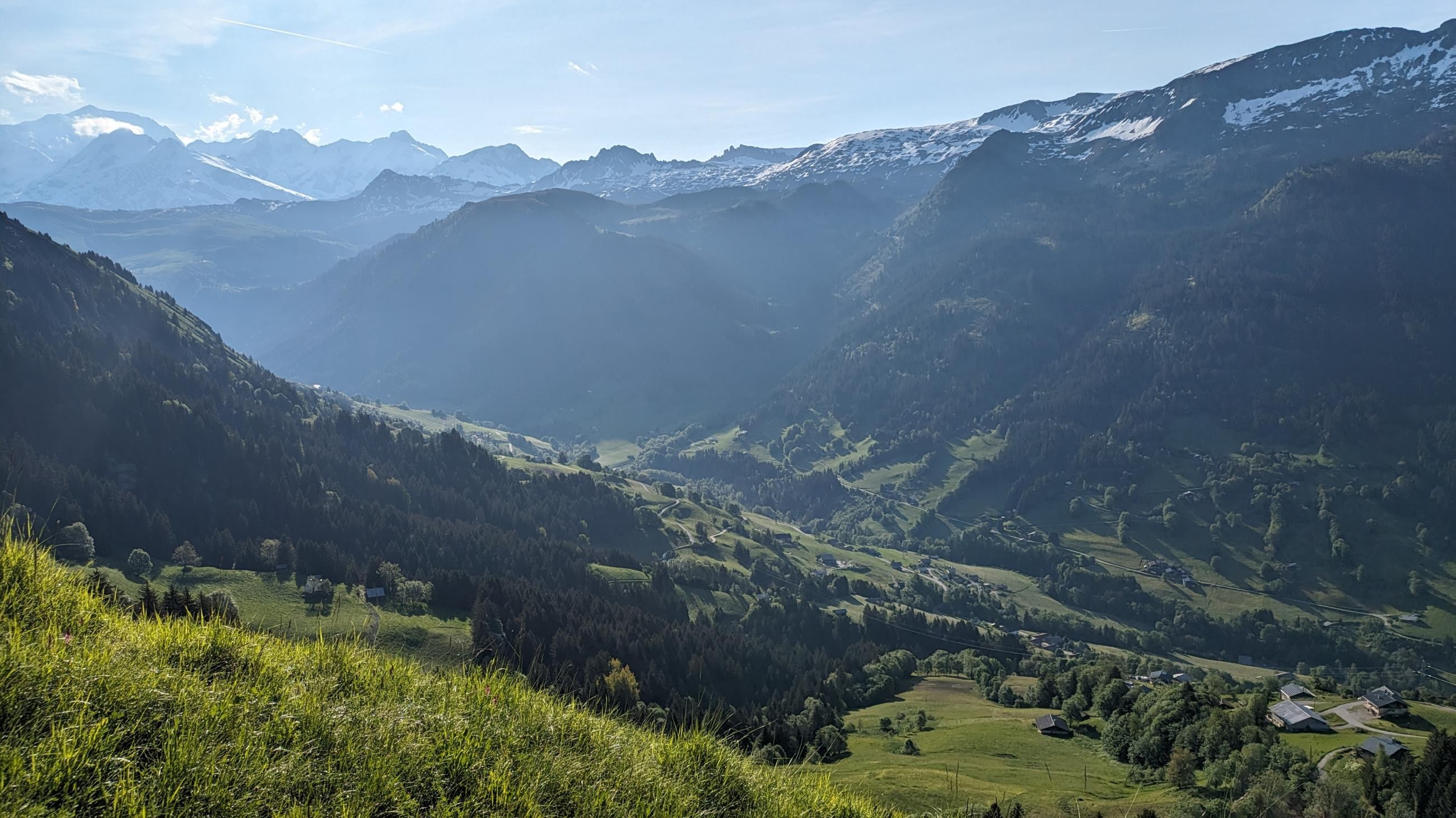 PXL_20230603_061218455