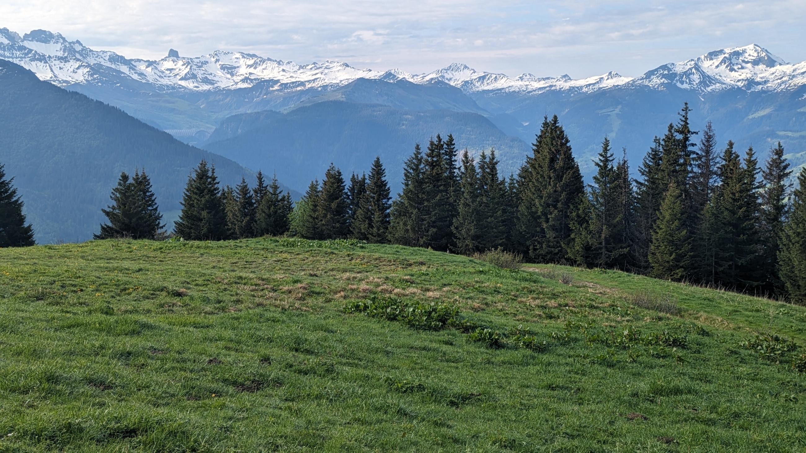 PXL_20230603_064134755