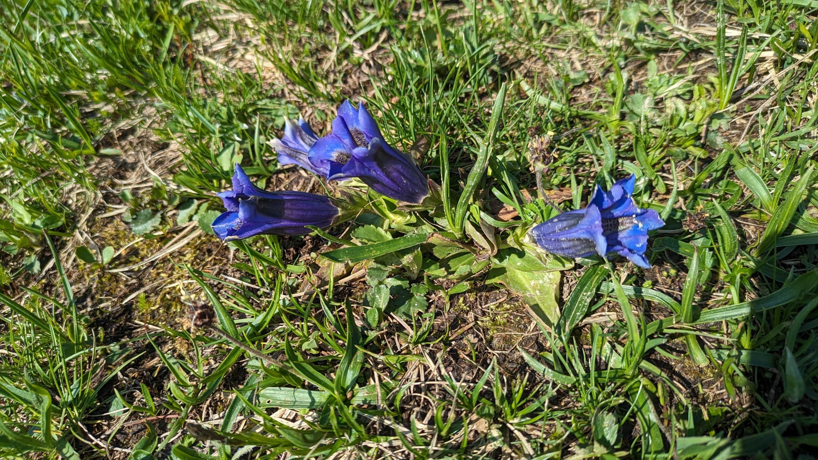 PXL_20230603_073525693