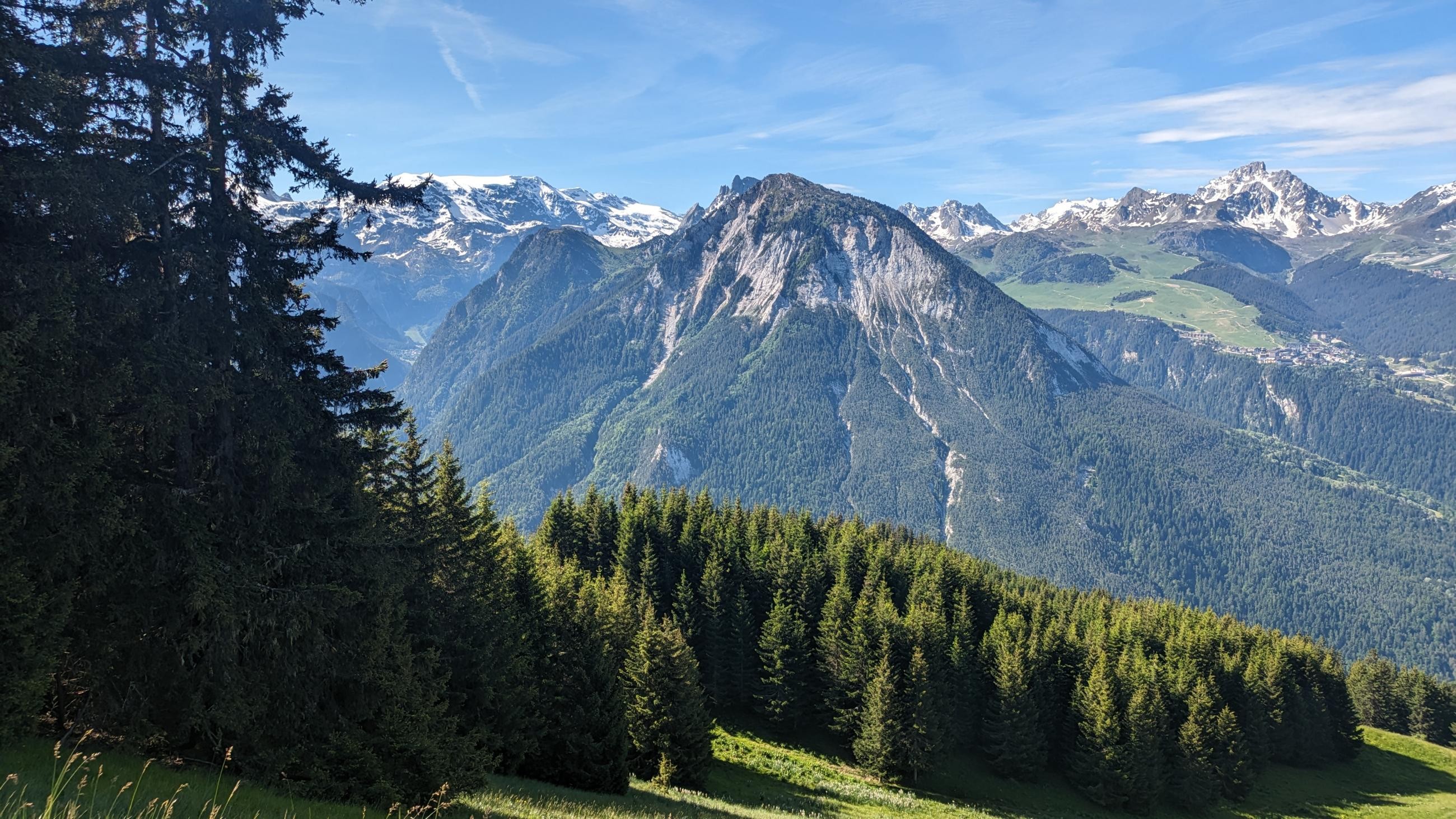 PXL_20230618_075344106