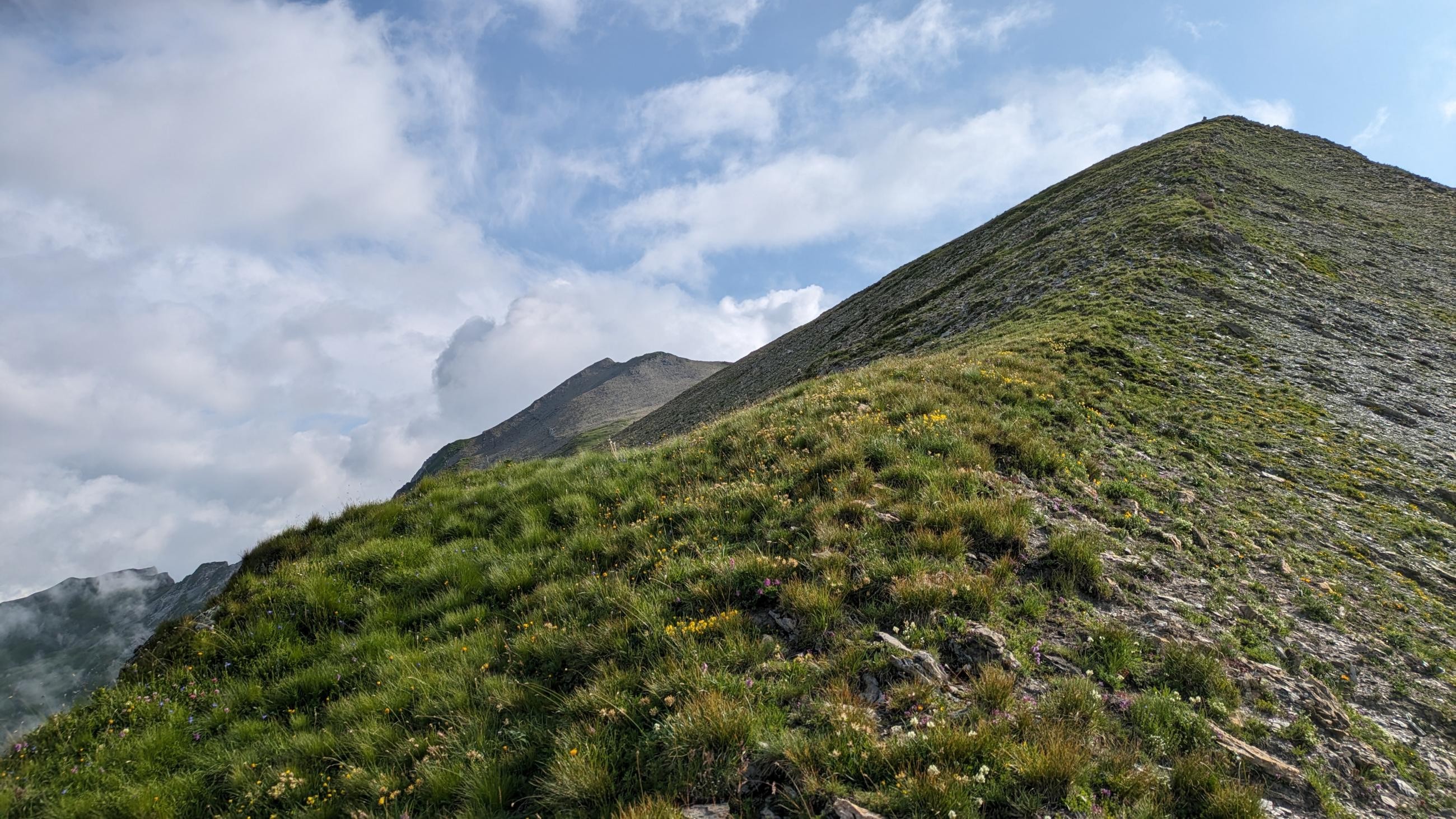 PXL_20230722_073623632.MP