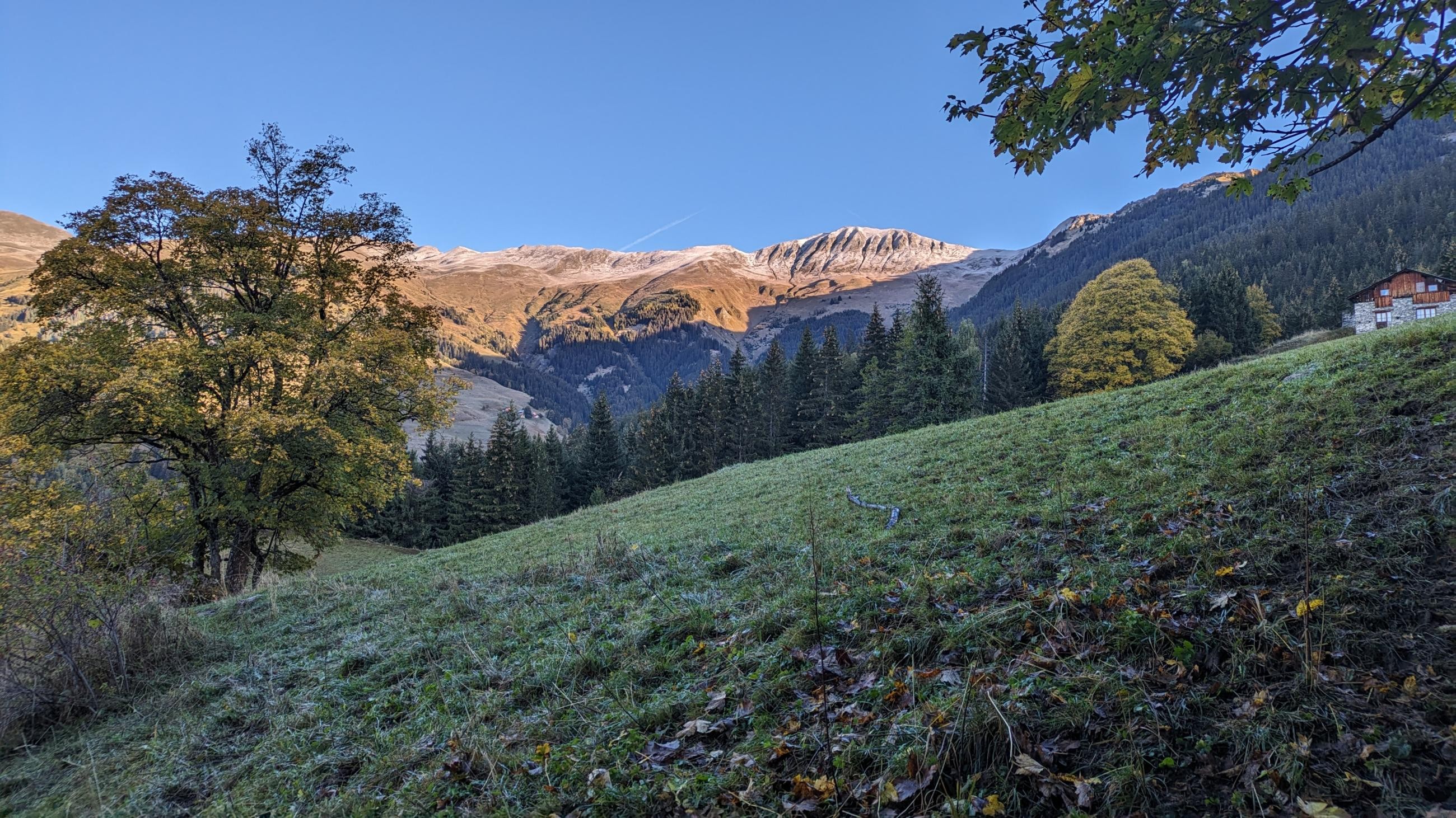 PXL_20231022_070831199