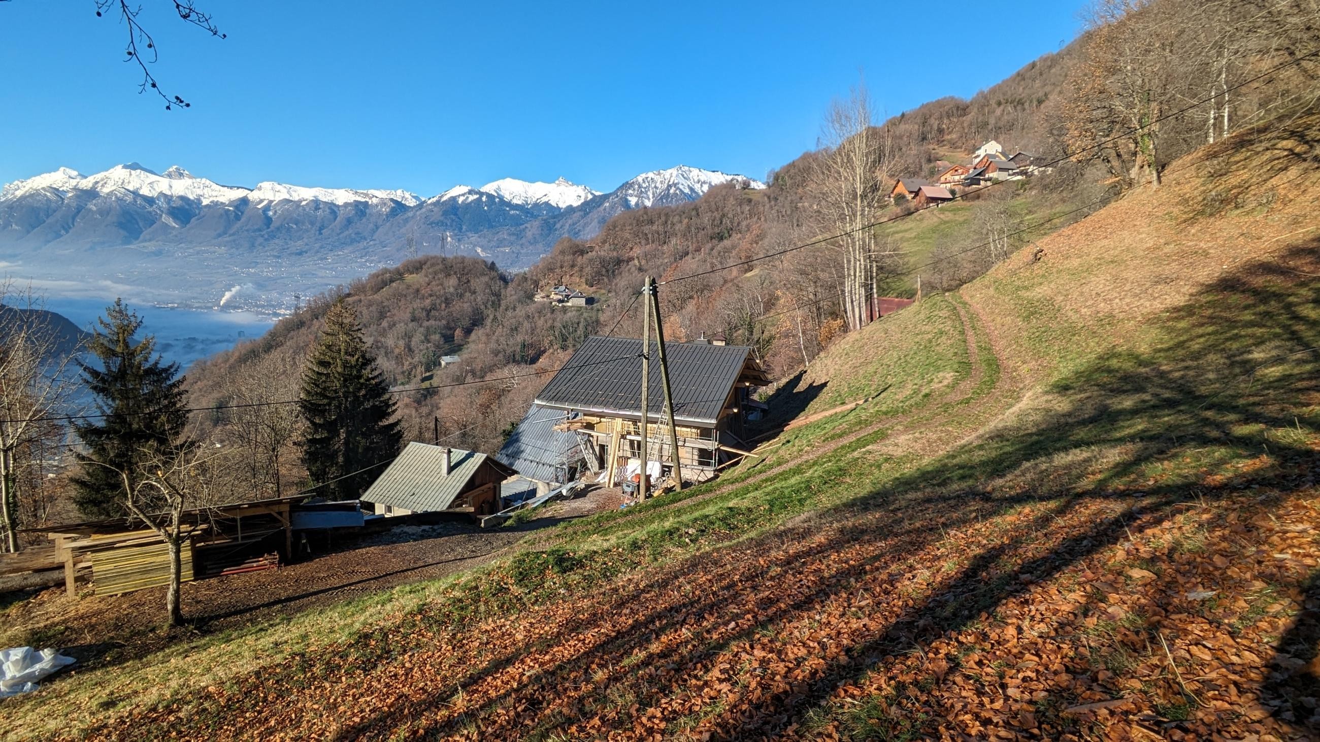 PXL_20231217_094203560