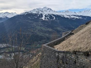 PXL_20240406_074256569