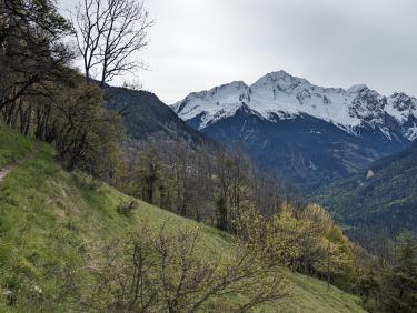 PXL_20240504_072520779.MP