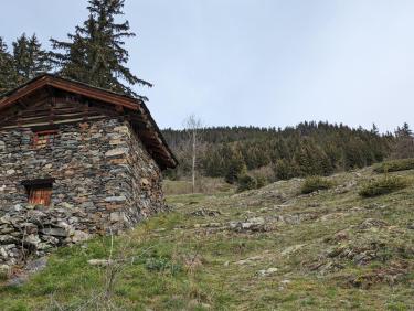 PXL_20240504_074751709.MP