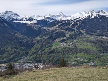 PXL_20240504_075720104.MP