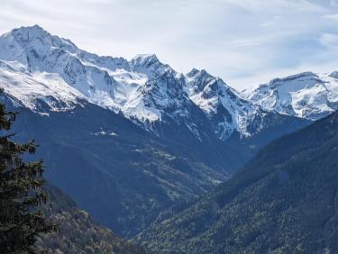 PXL_20240504_081433411