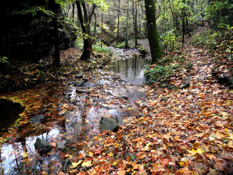 Quand les gorges s'élargissent