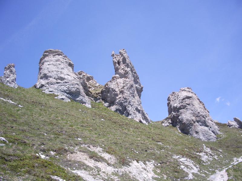 Quattro Denti