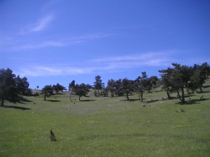 Quigouret
