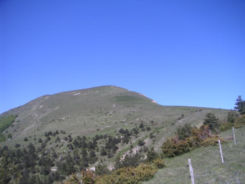 Quigouret
