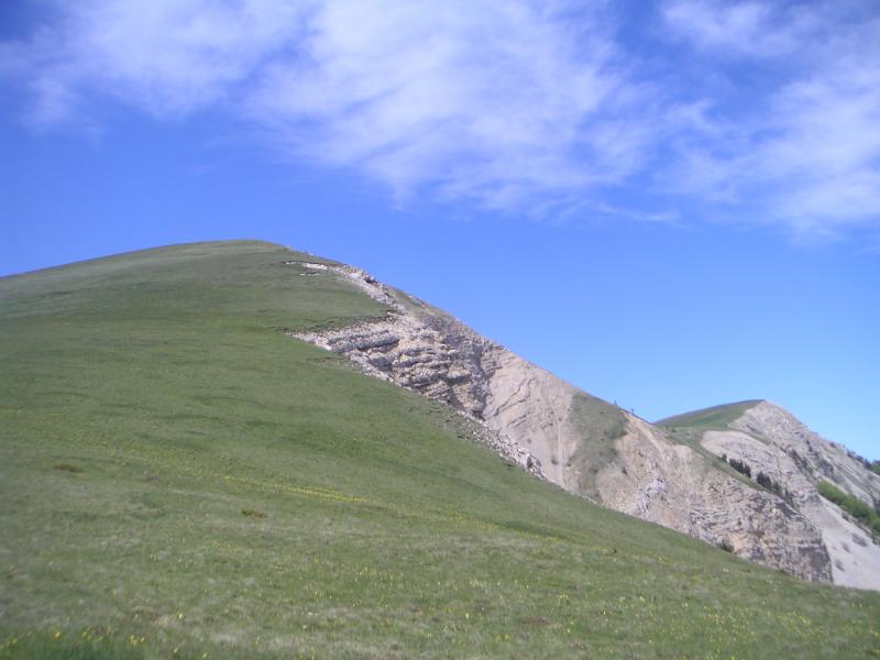 Quigouret