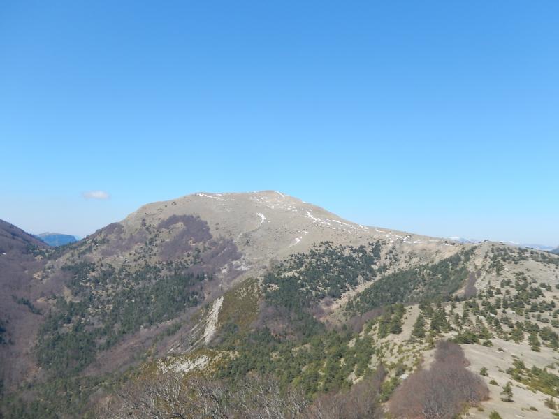 Quigouret
