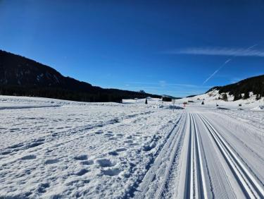 Ski nordique Plateau des Glières