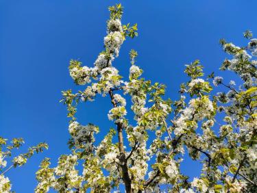 Quand faut y aller...