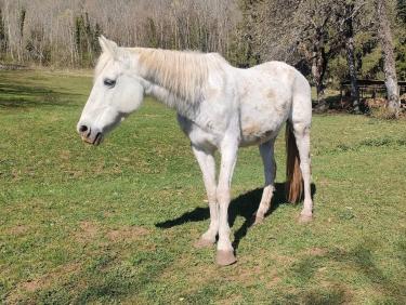 Quand faut y aller...