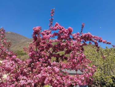 Quand faut y aller...