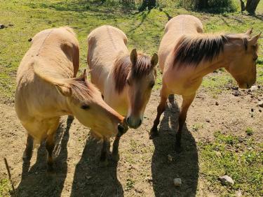 Quand faut y aller...