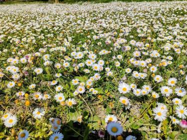 Quand faut y aller...