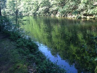 Quand l&apos;Ondenon se fait lac