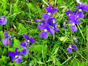 Quelques couleurs, quand mÃªme...