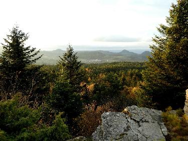 quelques sucs typiques du Meygal