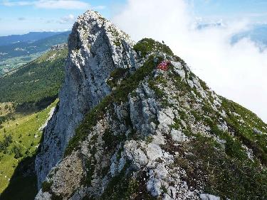 Quitter la crÃªte ici