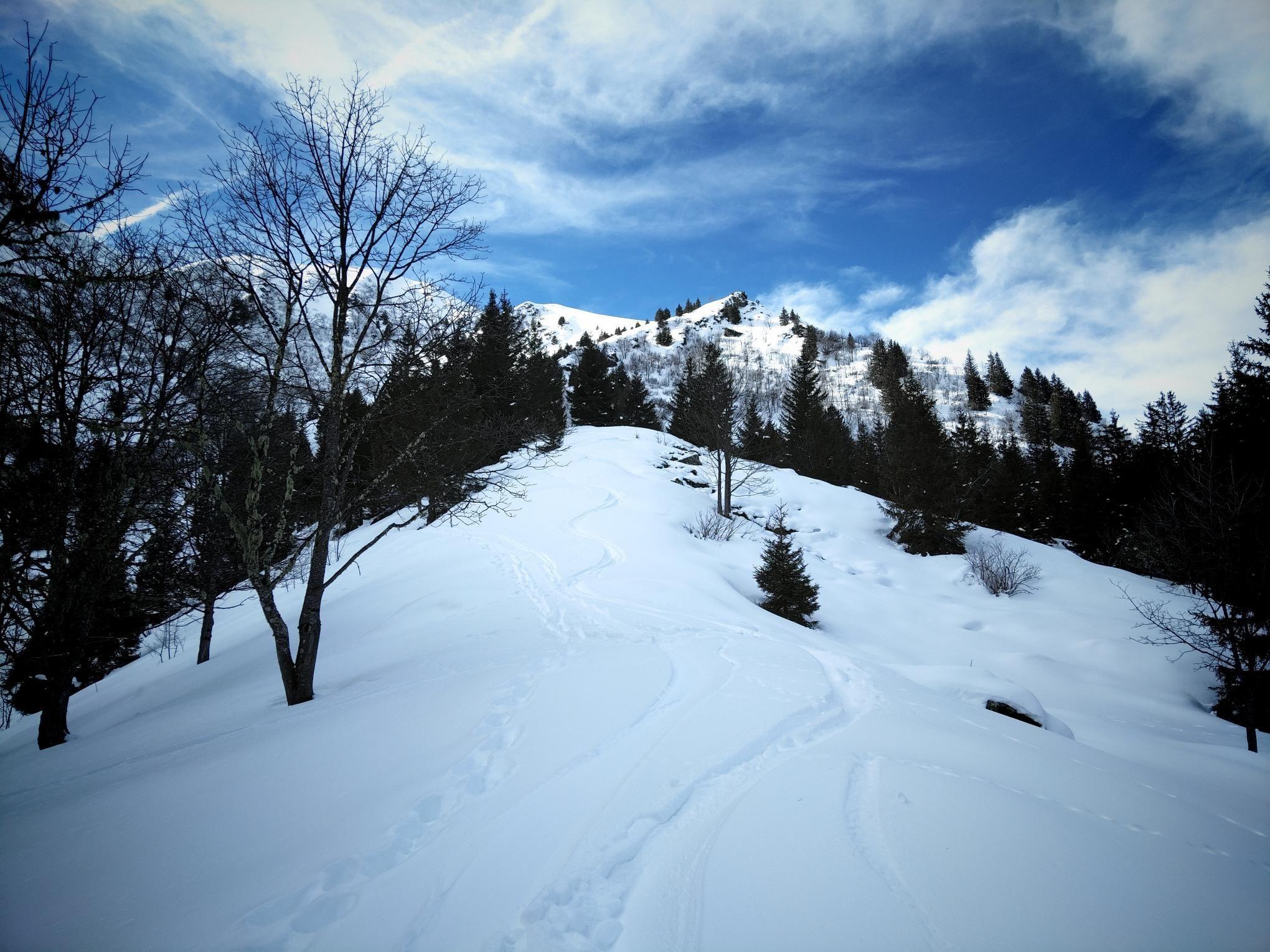 QxDnyomfW9H-9naI9g7qcMHJaH0e8DKdyPNn0i3ESUQ-2048x1536