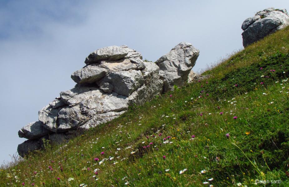 ROCHER DE LA TORTUE?