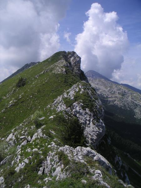 Ranc des Agnelons