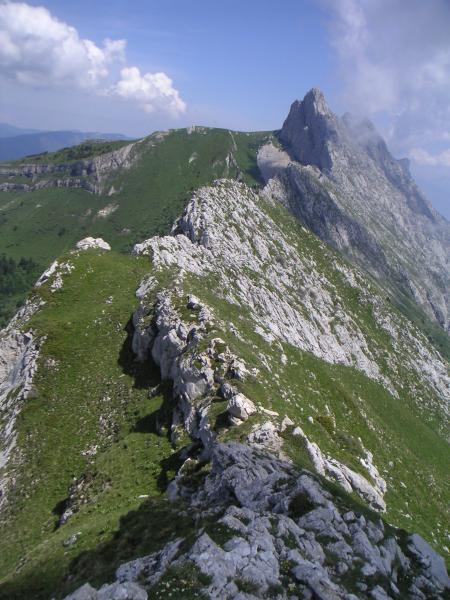 Ranc des Agnelons