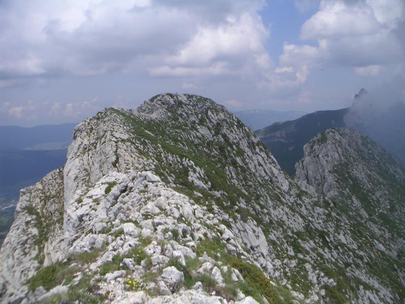 Ranc des Agnelons