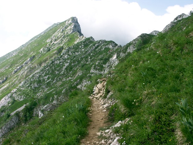 Ranc des Agnelons