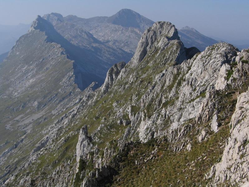 Ranc des agnelons