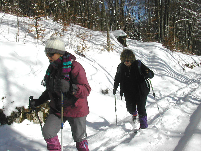 Raquettes dans les Coulmes