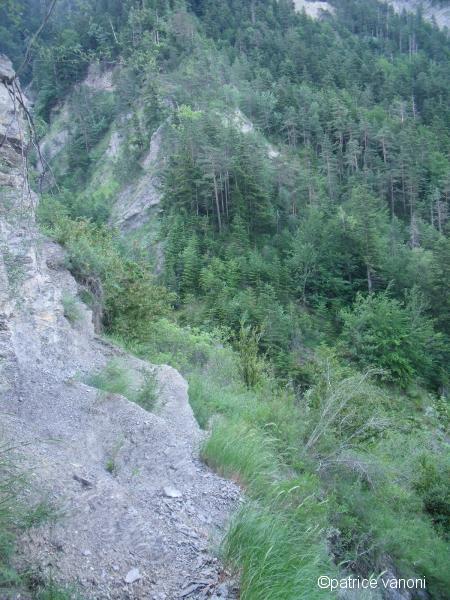 Ravine