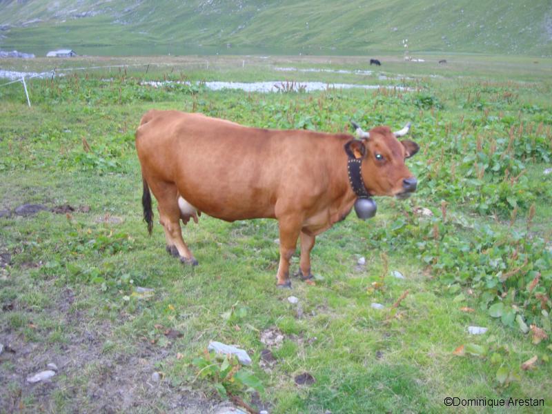Une copine devant le refuge d'Entre le Lac