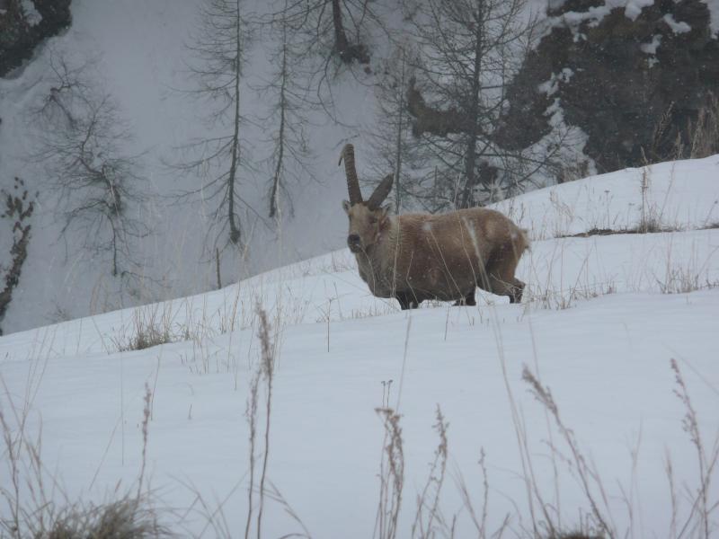 Rencontre