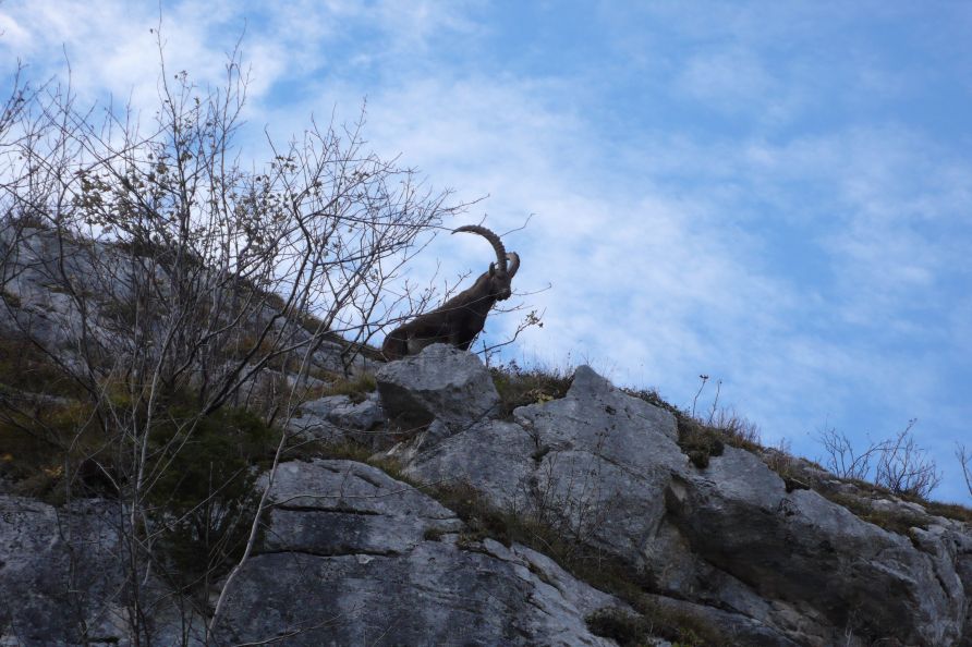 Rencontre à la descente